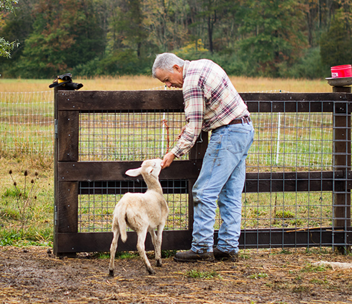 The Joy of Working Every Day on a Sheep Farm